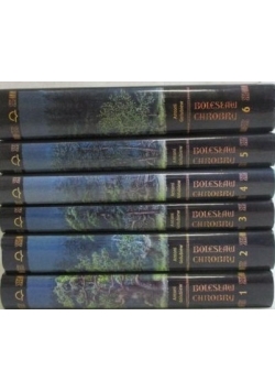 Bolesław Chrobry, t. 1-6
