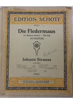 Die Fledermaus. Le chauve souris - The bat