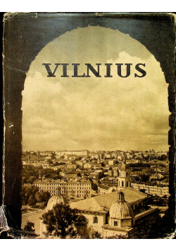 Vilnius Architektura