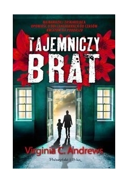 Tajemniczy brat, Nowa
