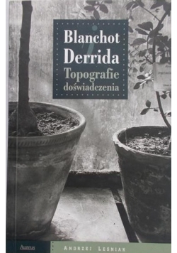 Topografie doświadczenia