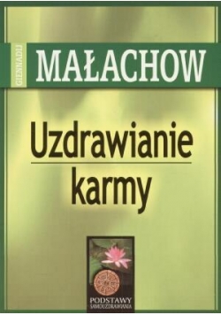 Uzdrawianie Karmy - Giennadij Małachow