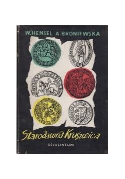 Starodawna Kruszwica
