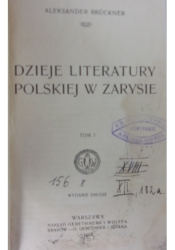 Dzieje literatury Polskiej w zarysie,1908