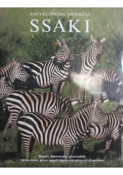 Encyklopedia zwierząt ssaki