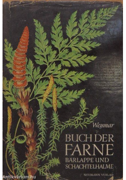 Buch der farne Barlappe und Schachtelhalme