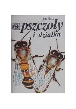 Pszczoły i działka