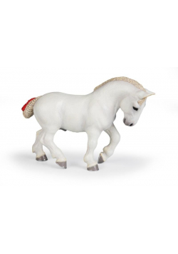Koń Percheron biały
