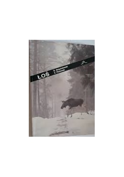 Łoś