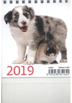 Kalendarz 2019 biurkowy mini przyjaciele
