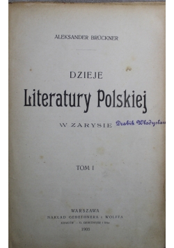 Dzieje literatury polskiej w zarysie tom I 1903 r.