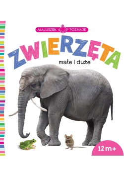 Maluszek poznaje. Zwierzęta małe i duże