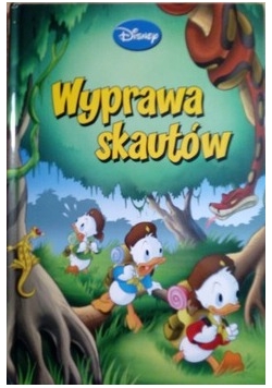 Wyprawa skautów