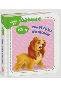Ciekawski maluch. Zwierzęta domowe