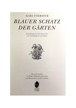 Blauer schatz dergarten