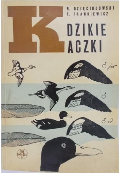 Dzikie kaczki