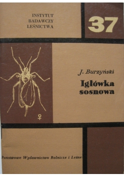 Igłówka sosnowa