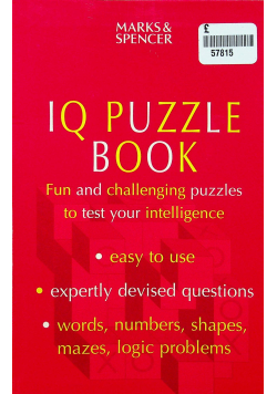 IQ puzzle book
