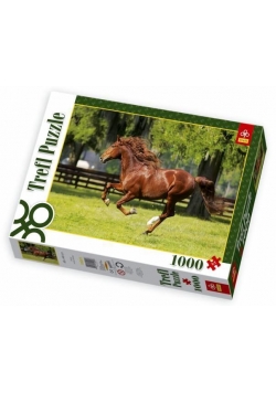 Puzzle 1000 Galop  TREFL