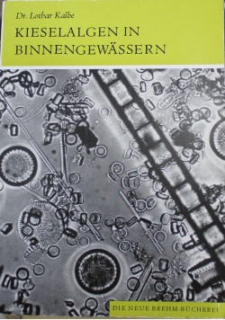 Kieselalgen in Binnengewassern