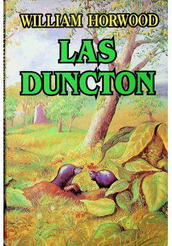 Las Dunction