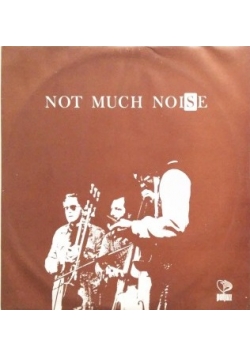 Not much noise. Płyta winylowa
