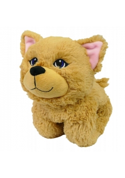 Snuggies Kotek Ginger