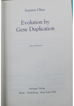 Evolution by Gene Duplication