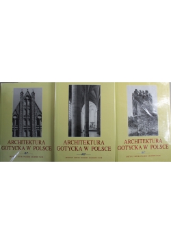 Architektura Gotycka w Polsce 3 tomy