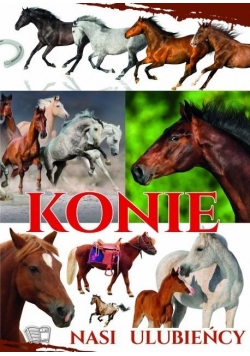 Konie - Nasi ulubieńcy