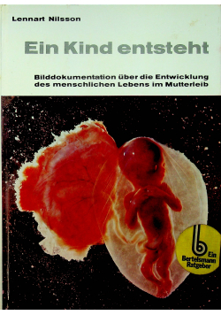 Ein Kind entsteht