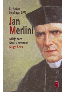 Jan Merlini. Misjonarz Krwi Chrystusa, Sługa Boży
