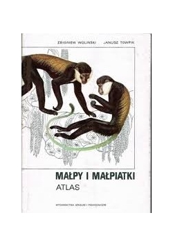 Małpy i małpiatki atlas