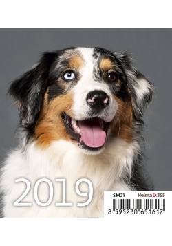 Kalendarz biurkowy Mini Pieski 2019 10 sztuk