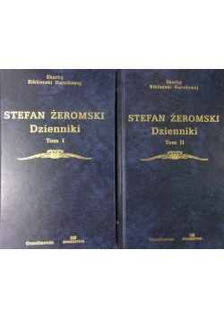 Dzienniki. Zestaw 2 książek