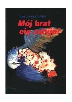 Mój brat cię zabije! O wojnie w Jugosławii