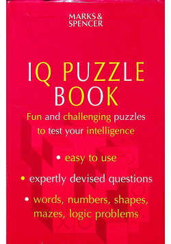 IQ puzzle book