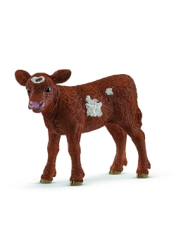 Texas Longhorn Cielę
