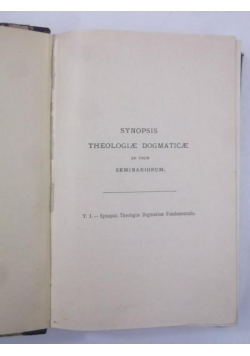 Synopsis Theologiae Dogmaticae ad Usum Seminariorum, 1906 r.