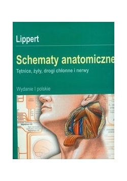 Schematy anatomiczne