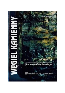 Węgiel kamienny
