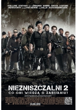 Niezniszczalni DVD