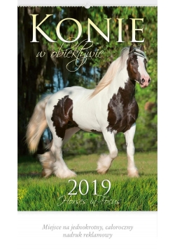 Kalendarz 2019 RW 21 Konie w obiektywie