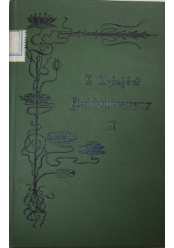 Z dziejów Hajdamaczyzny część II, 1905 r.