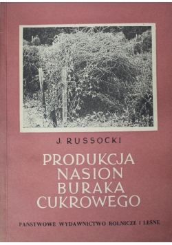 Produkcja nasion buraka cukrowego