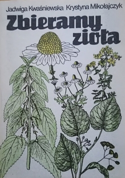 Zbieramy zioła