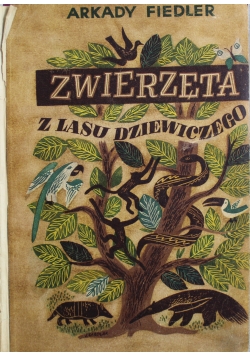 Zwierzęta z lasu dziewiczego 1946 r