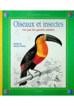 Oiseaux et insectes