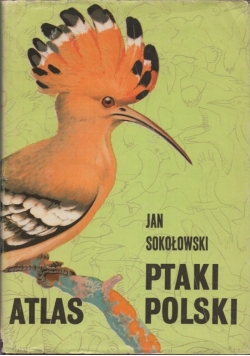 Atlas Ptaki Polski