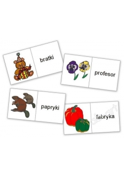 Domino logopedyczne wyrazowo - obrazkowe PR-BR